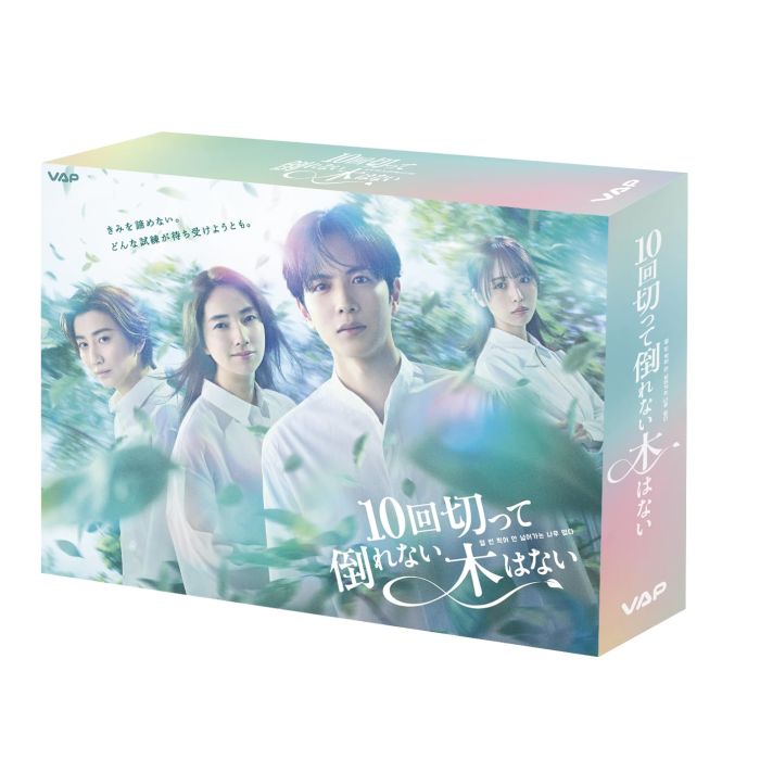 JUN SHISON - 10 KAI KITTE TAORENAI KI HA NAI
