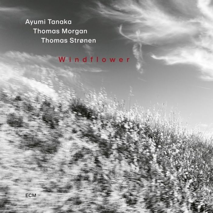 AYUMI; THOMAS MORGAN TANAKA - WINDFLOWER