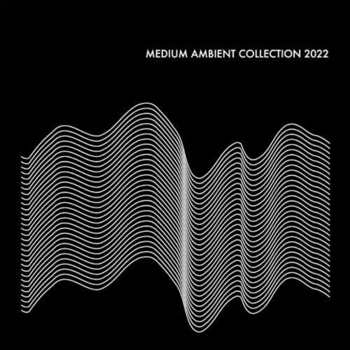 VARIOUS ARTISTS - MEDIUM AMBIENT COLLECTION 2022
