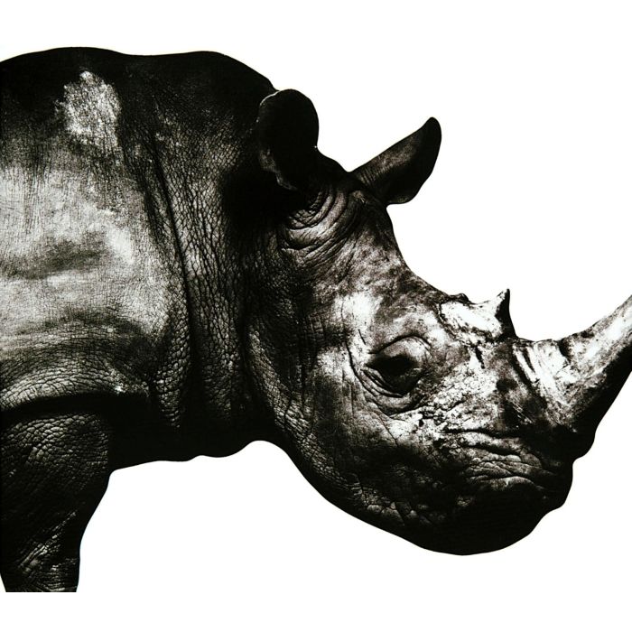 MR.CHILDREN - MR.CHILDREN 1992-1994 NIKU