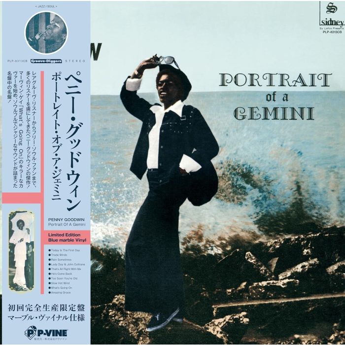 PENNY GOODWIN - PORTRAIT OF A GEMINI