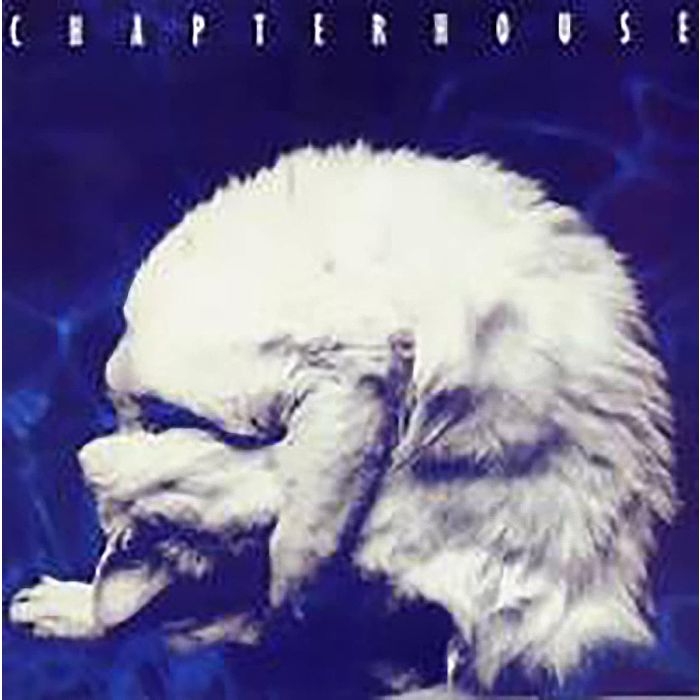 CHAPTERHOUSE - WHIRLPOOL
