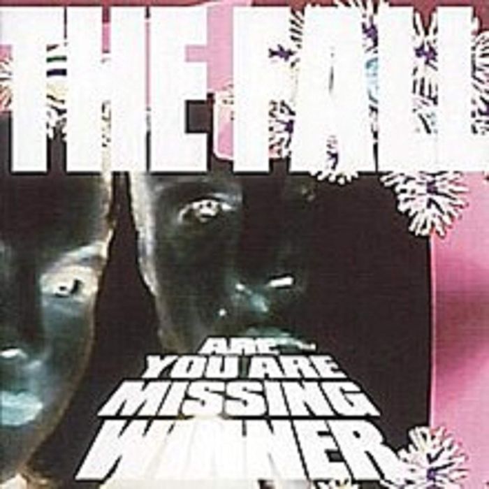 FALL - ARE YOU ARE MISSING WINNER (DIGIPAK)