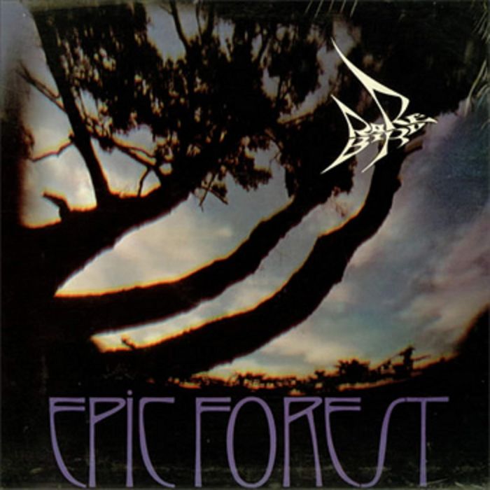 RARE BIRD - EPIC FOREST