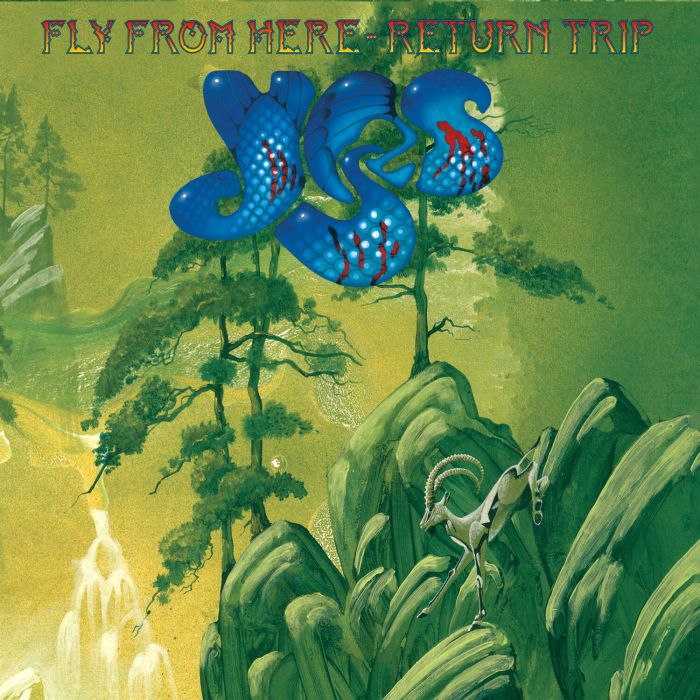 YES - FLY FROM HERE (RETURN TRIP)