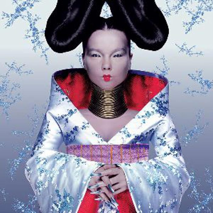 BJORK - HOMOGENIC