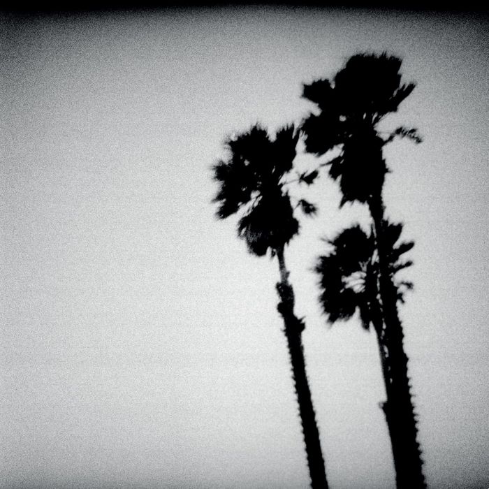 TWILIGHT SINGERS - BLACKBERRY BELLE