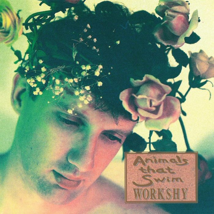 ANIMALS THAT SWIM - WORKSHY