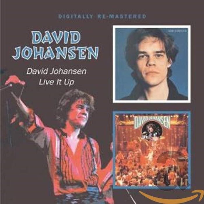 DAVID JOHANSEN - DAVID JOHANSEN / LIVE IT UP (REMASTERED)