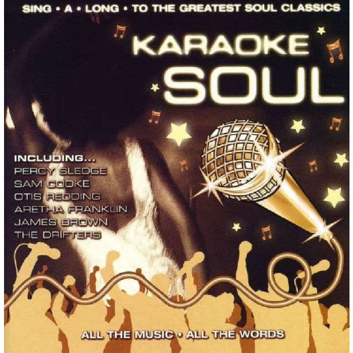 VARIOUS ARTISTS - KARAOKE IN YOUR SOUL / VARIOUS
