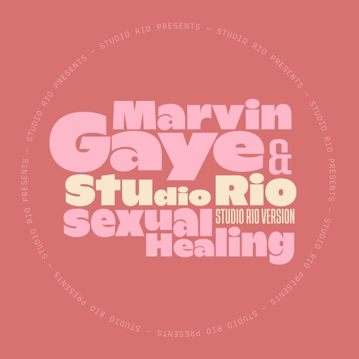 GAYE,MARVIN / STUDIO RIO - SEXUAL HEALING