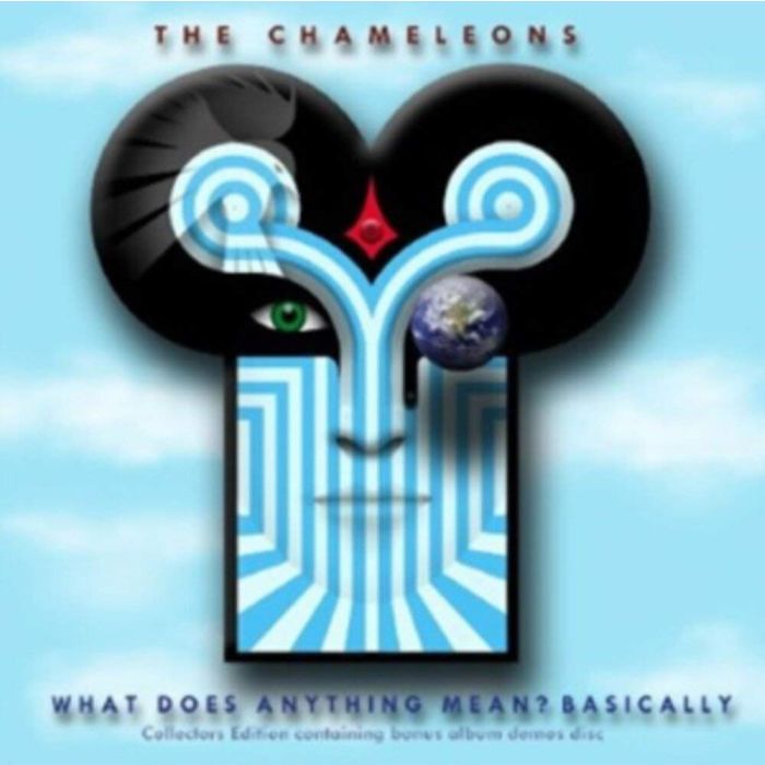 CHAMELEONS - WHAT DOES ANYTHING