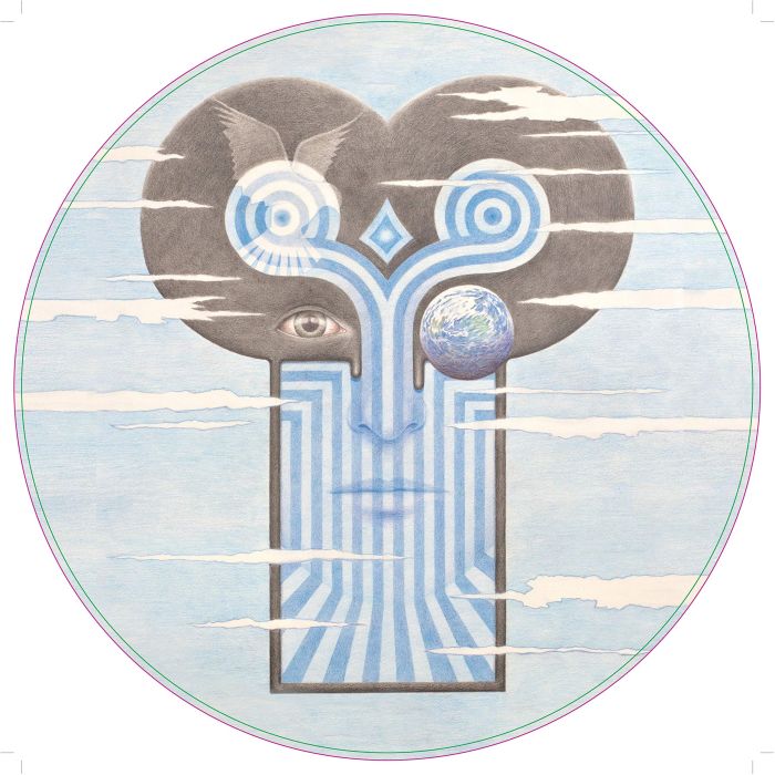 CHAMELEONS - WHAT DOES ANYTHING MEAN? BASICALLY (PICTURE DISC/LIMITED/IMPORT)