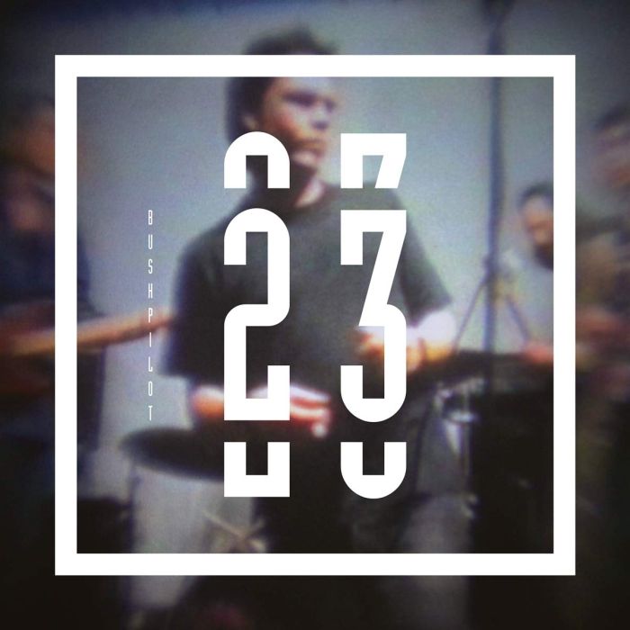 BUSHPILOT - 23