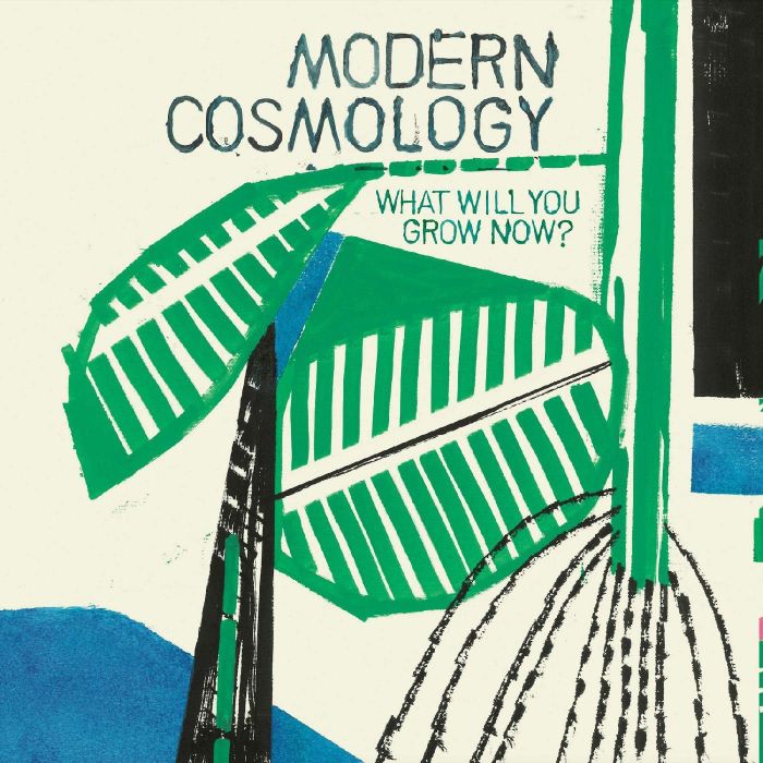 MODERN COSMOLOGY - WHAT WILL YOU GROW NOW? (IMPORT)