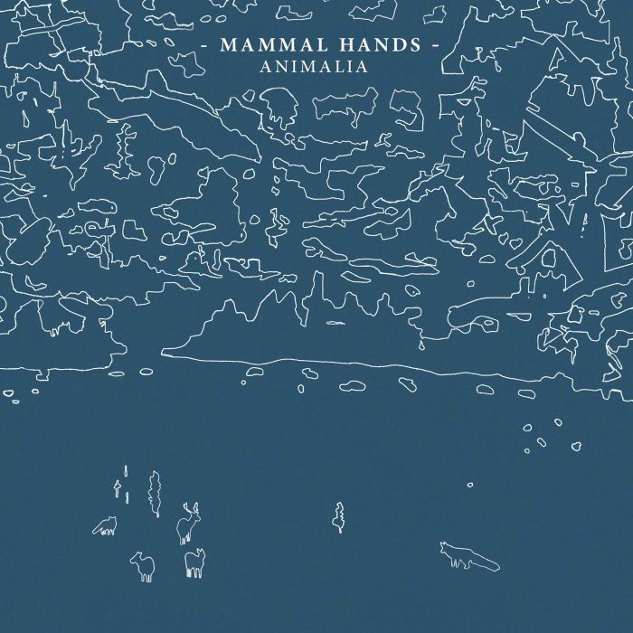 MAMMAL HANDS - ANIMALIA