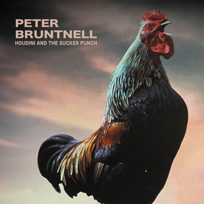 PETER BRUNTNELL - HOUDINI & THE SUCKER PUNCH