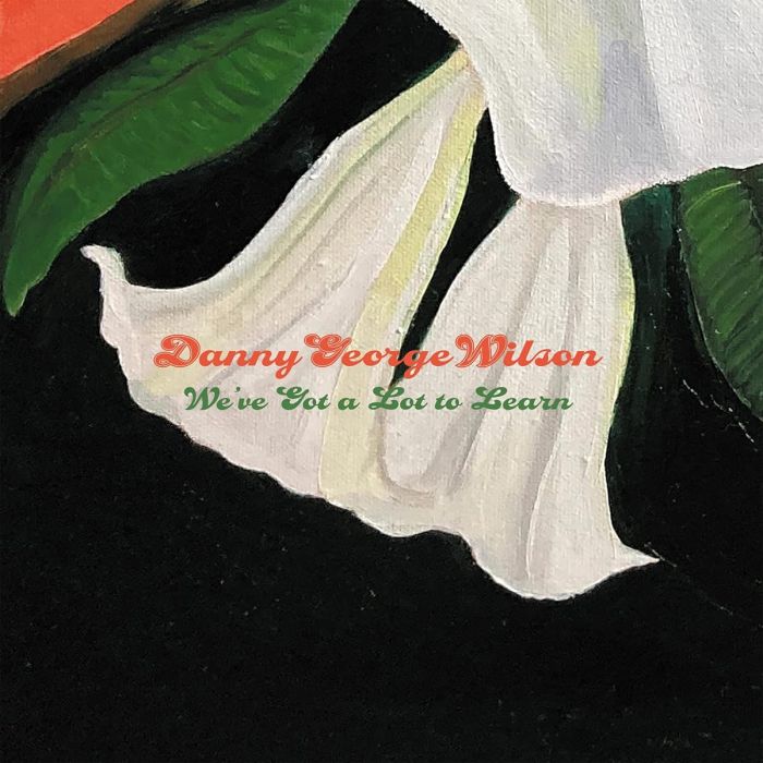 DANNY GEORGE WILSON - WE'VE GOT A LOT TO LEARN