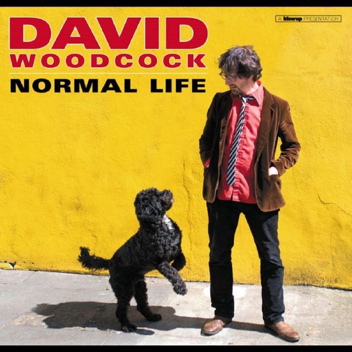 DAVID WOODCOCK - NORMAL LIFE (180G/DL CARD)
