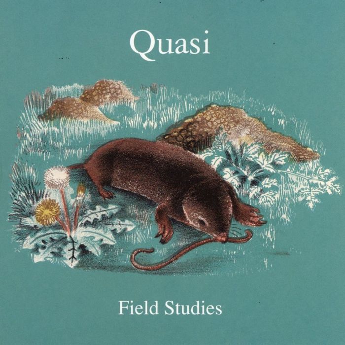 QUASI - FIELD STUDIES (BLANK D-SIDE)
