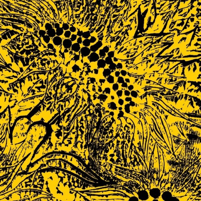 AMANDA WHITING - LITTLE SUNFLOWER