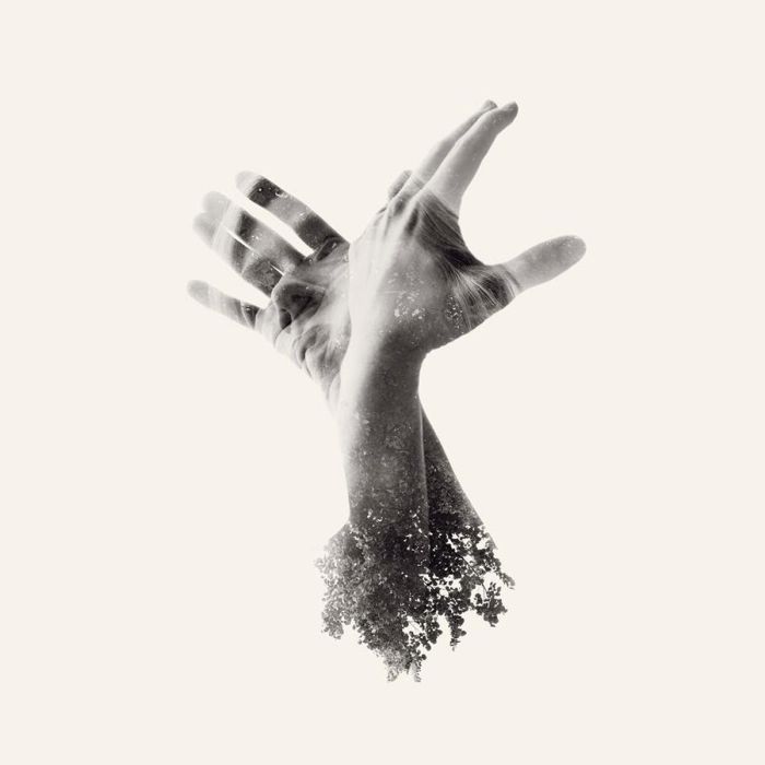 LAST DINOSAUR - NOTHING