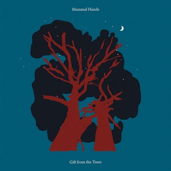 MAMMAL HANDS - GIFT FROM THE TREES