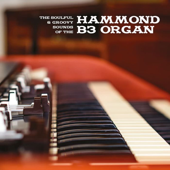 VARIOUS ARTISTS - SOULFUL & GROOVY SOUNDS OF THE HAMMOND B3 ORGAN