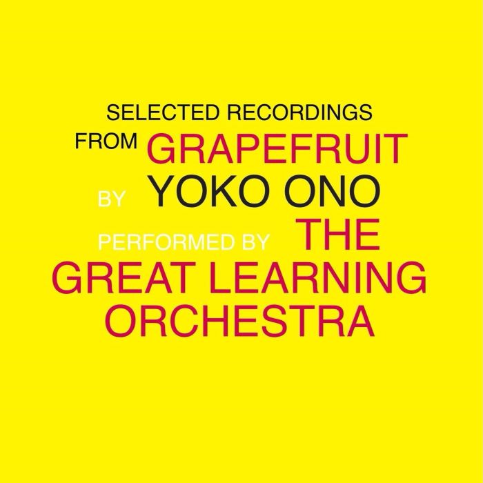 ONO,YOKO & THE GREAT LEARNING ORCHESTRA - SELECTED RECORDINGS FROM GRAPEFRUIT