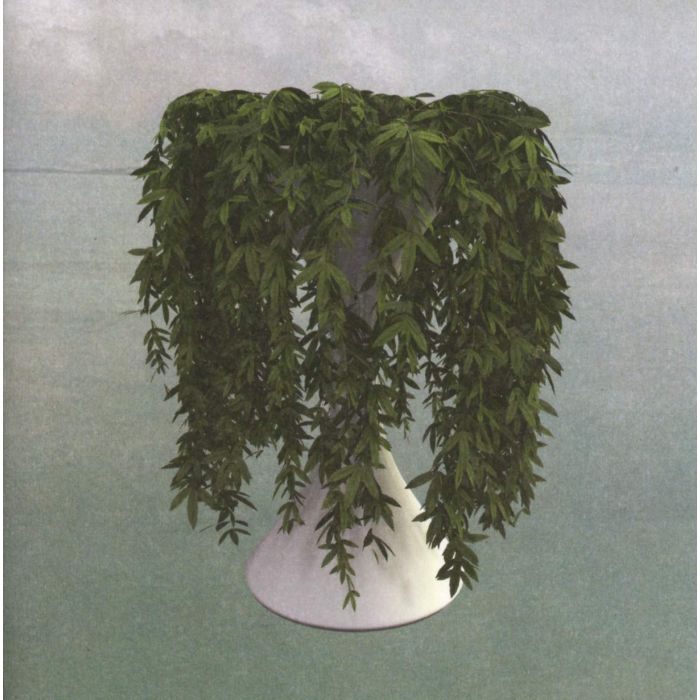 ERRORS - LEASE OF LIFE