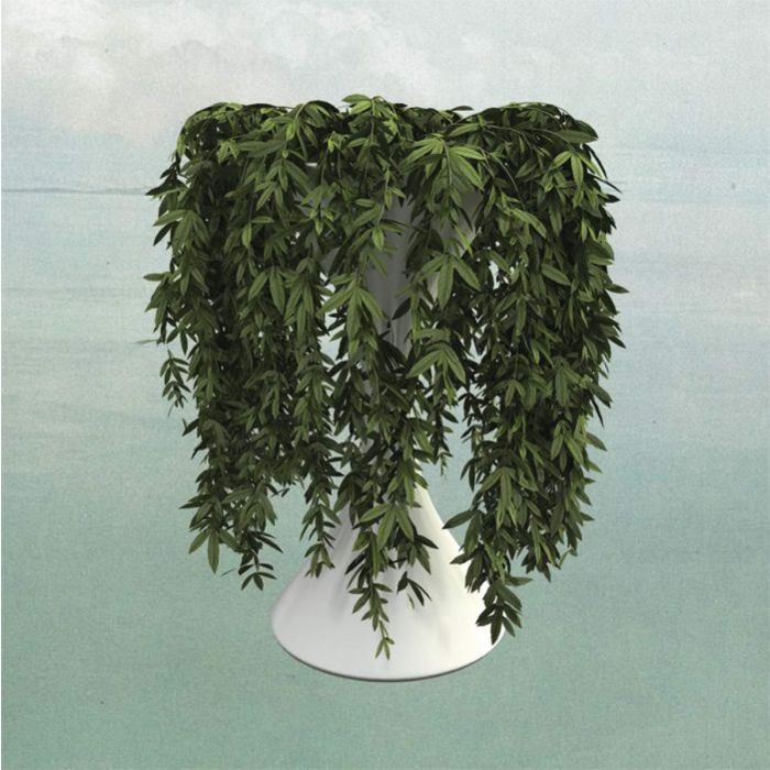 ERRORS - LEASE OF LIFE