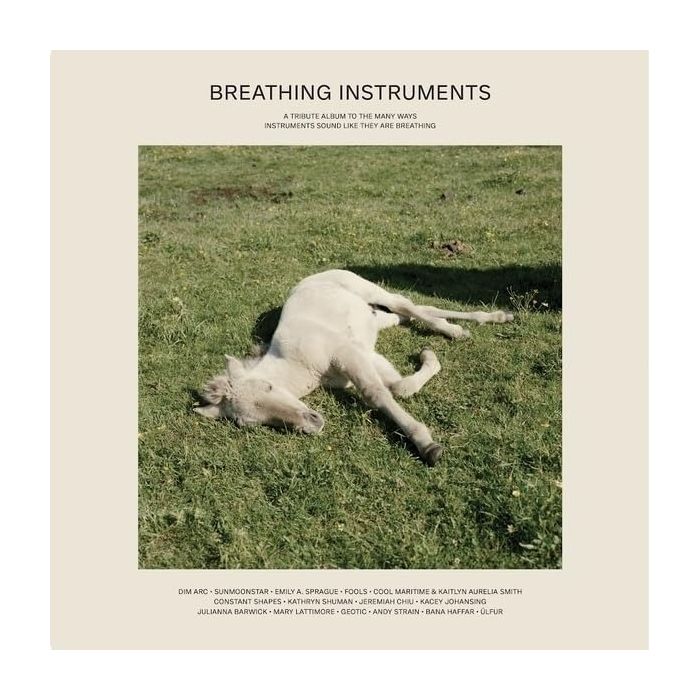 VARIOUS ARTISTS - BREATHING INSTRUMENTS