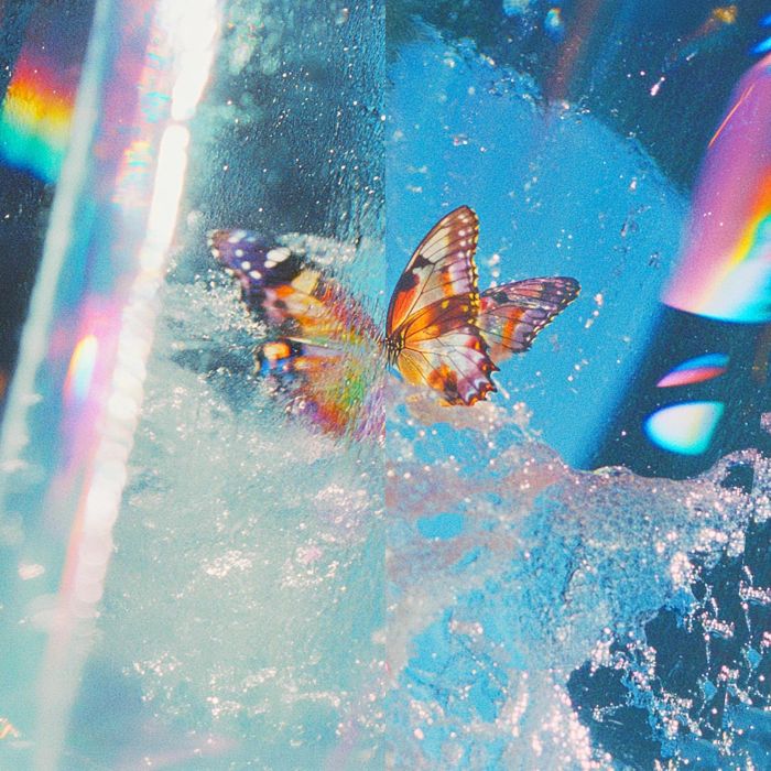 DAPHNI - BUTTERFLY