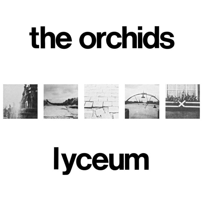 ORCHIDS - LYCEUM