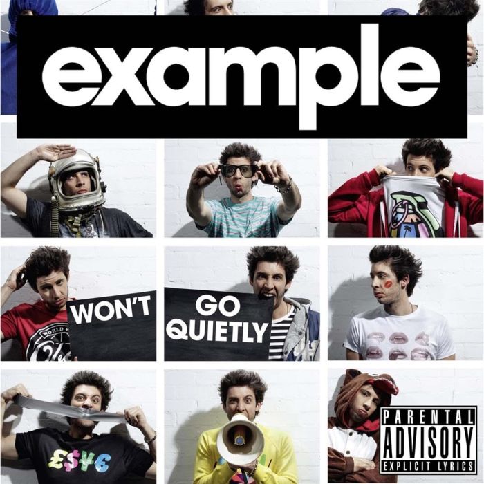EXAMPLE - WON'T GO QUIETLY