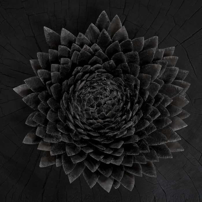 JONSI - OBSIDIAN