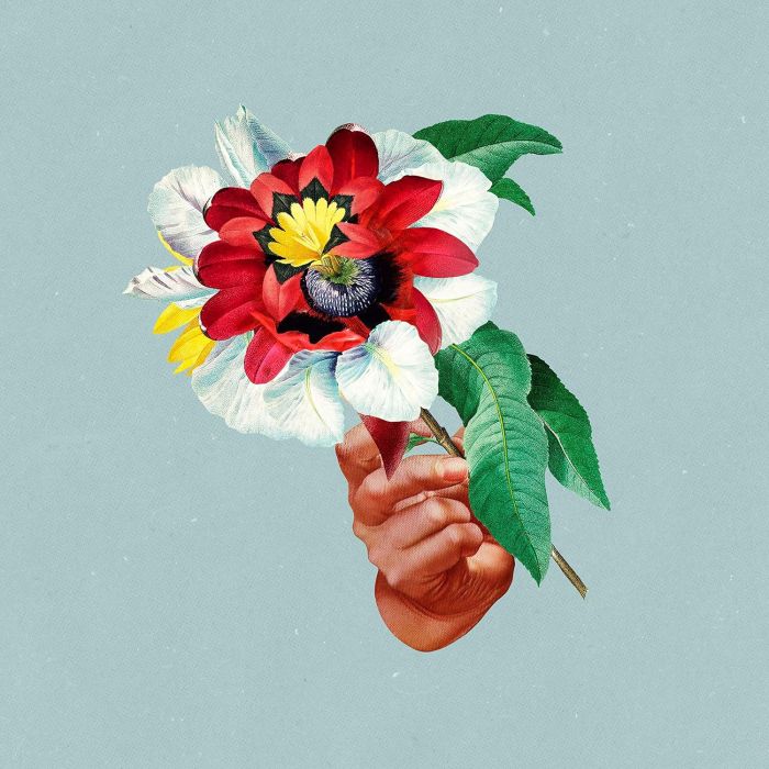 MARIBOU STATE - KINGDOMS IN COLOUR (COLOR VINYL)