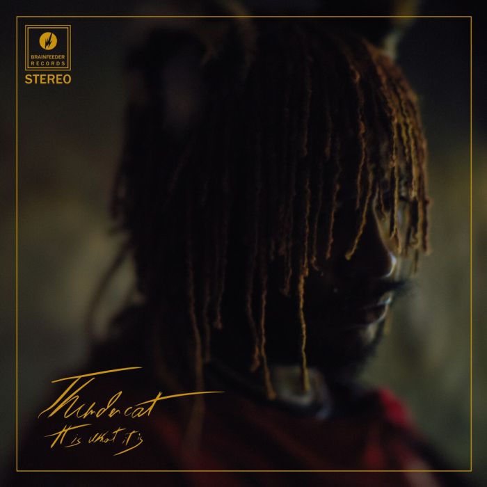 THUNDERCAT - IT IS WHAT IT IS (RED VINYL/140G/3MM SPINED SLEEVE/GOLD FOIL)
