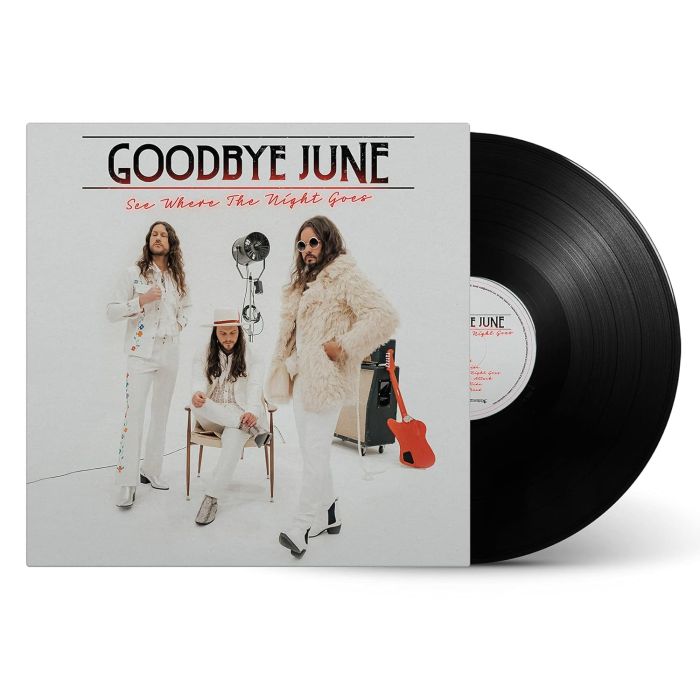 GOODBYE JUNE - SEE WHERE THE NIGHT GOES