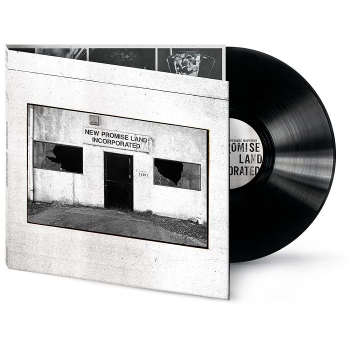 TEMPERANCE MOVEMENT - NEW PROMISE LAND INCORPORATED