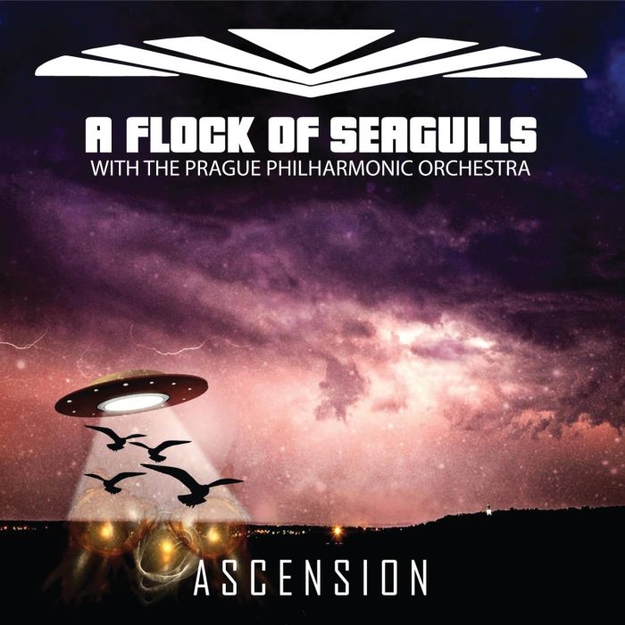 FLOCK OF SEAGULLS - ASCENSION