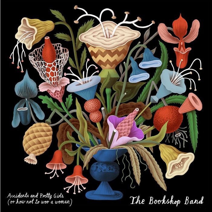 BOOKSHOP BAND - ACCIDENTS & PRETTY GIRLS