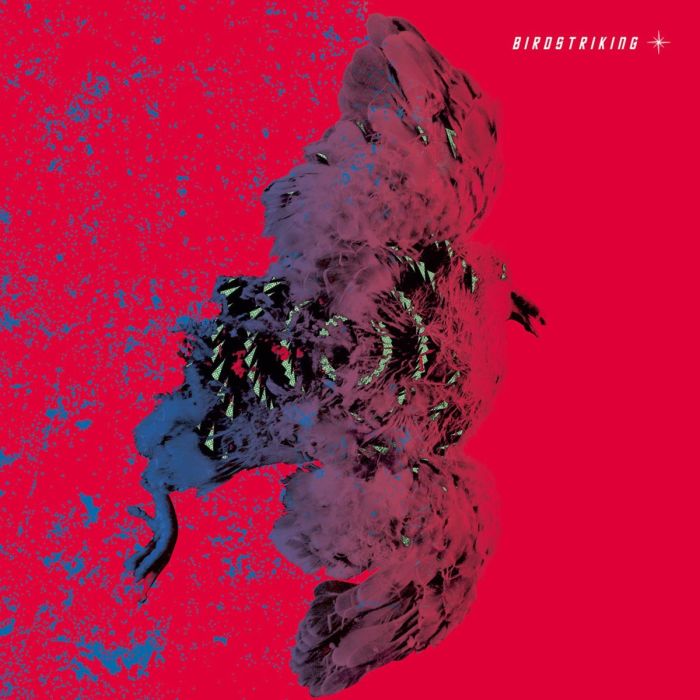 BIRDSTRIKING - BIRDSTRIKING