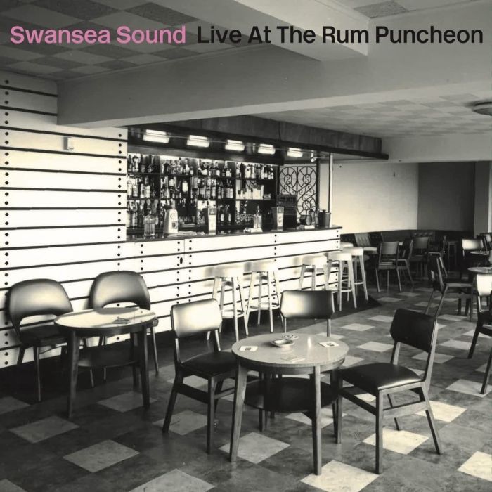 SWANSEA SOUND - LIVE AT THE RUM PUNCHEON