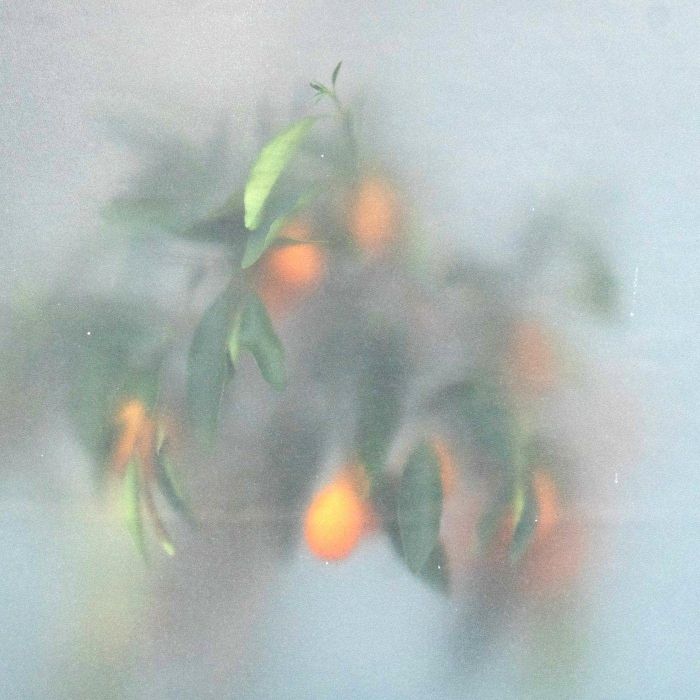 ?-ZIQ & MRS JYNX - SECRET GARDEN (LTD/GREEN VINYL)