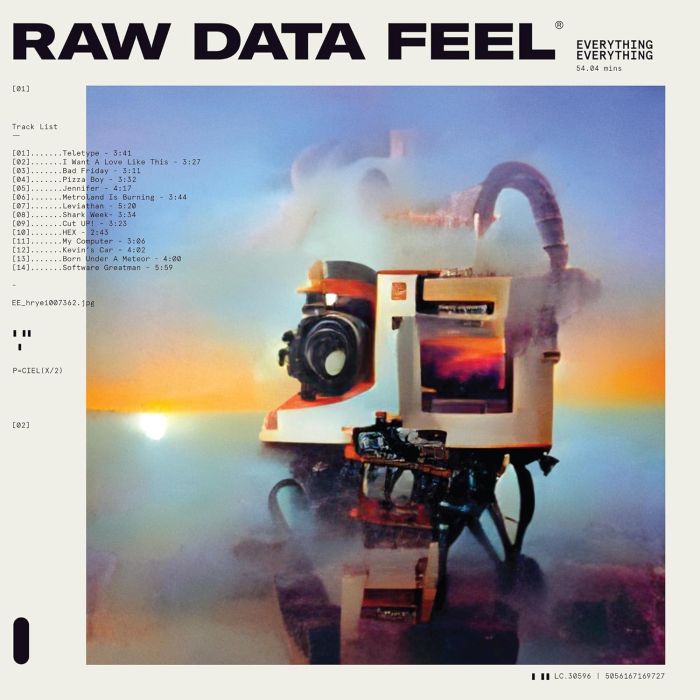 EVERYTHING EVERYTHING - RAW DATA FEEL (CLEAR VINYL)
