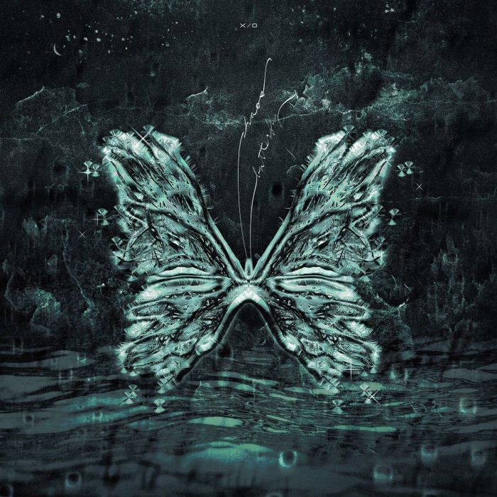 X/O - CHAOS BUTTERFLY