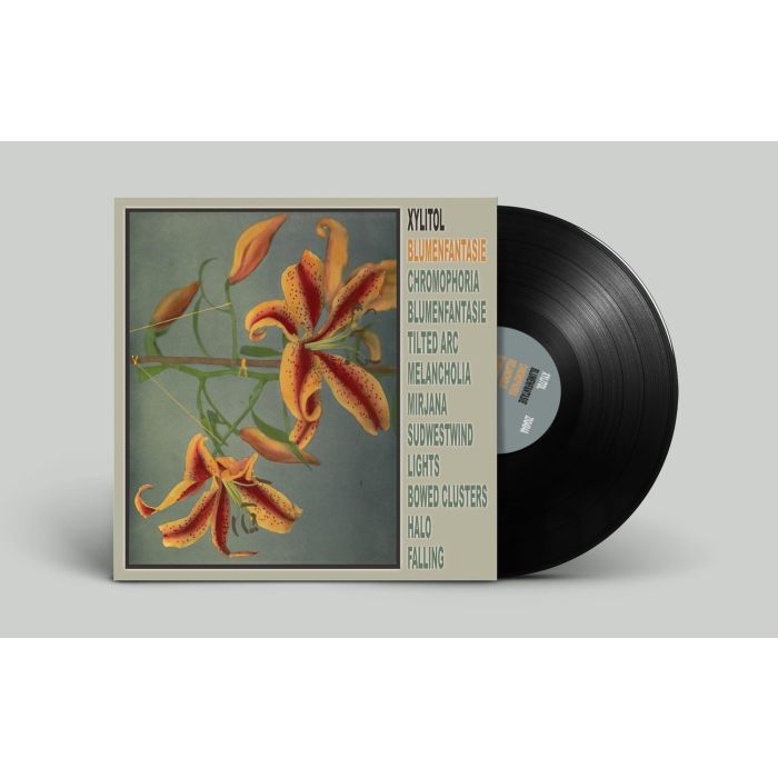 XYLITOL - BLUMENFANTASIE
