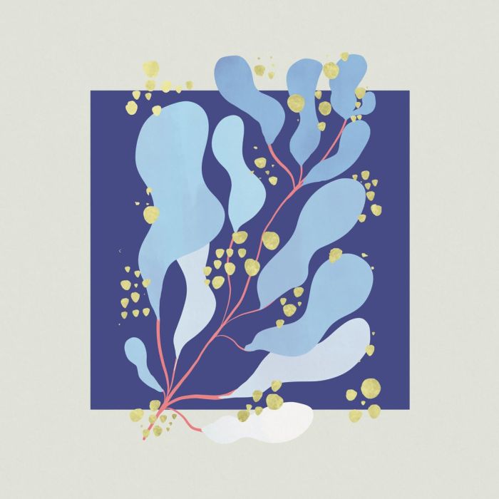 SALAMANDA - IN PARALLEL
