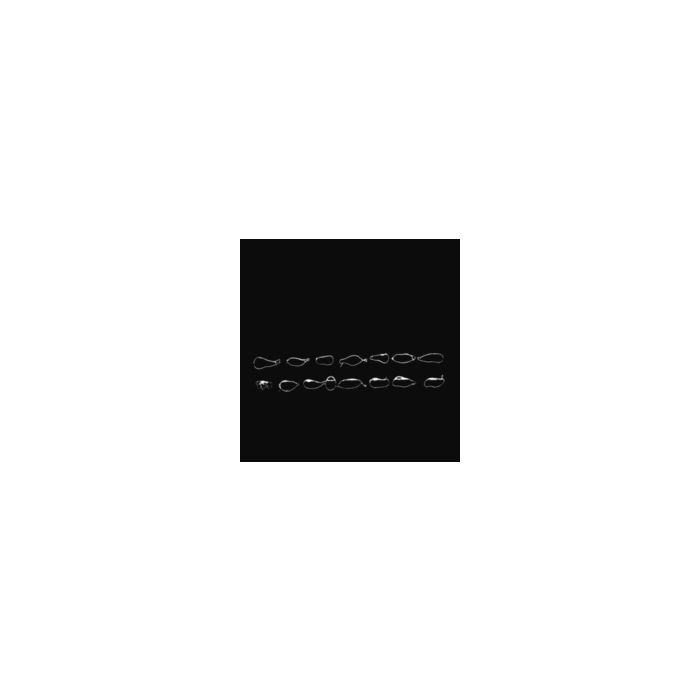 CONTAINER - YACKER (COLOURED VINYL)